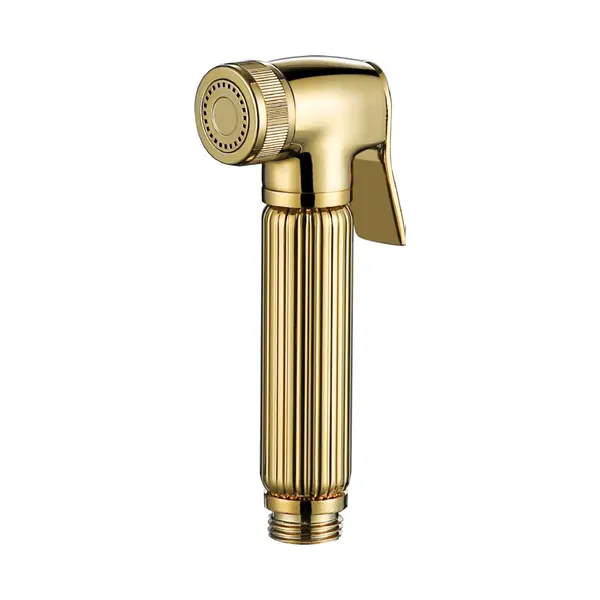 Hvorfor hvert moderne bad trenger en bidet -sprøyting